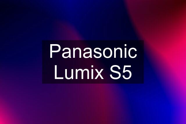 Panasonic Lumix S5