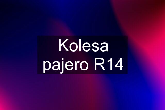 Kolesa pajero R14