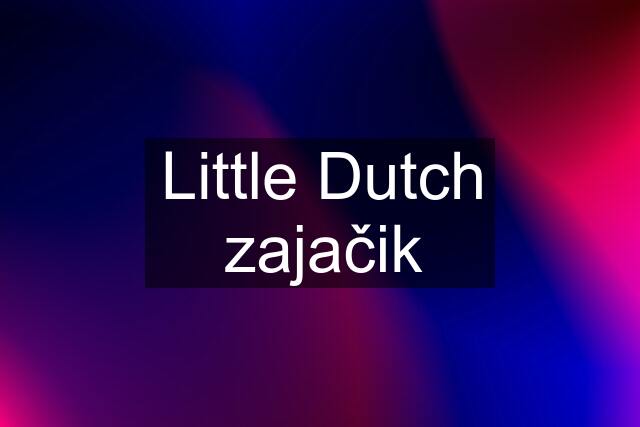 Little Dutch zajačik