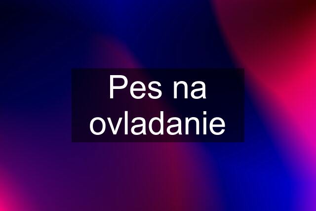 Pes na ovladanie