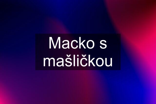 Macko s mašličkou