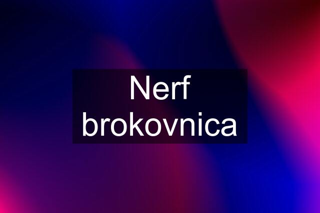 Nerf brokovnica