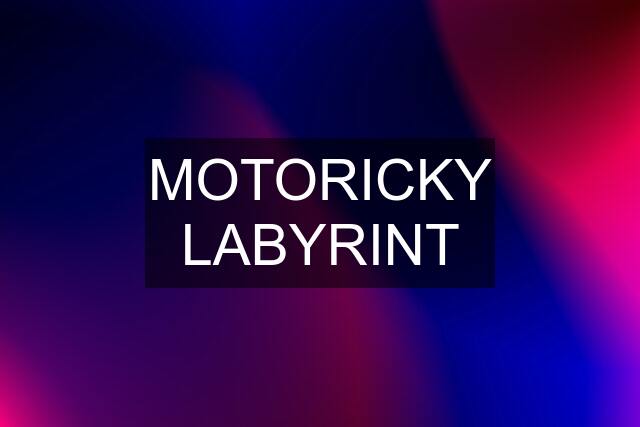 MOTORICKY LABYRINT