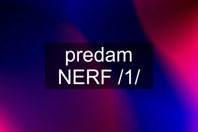 predam NERF /1/