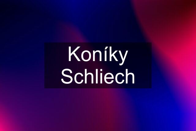 Koníky Schliech