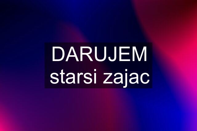 DARUJEM starsi zajac