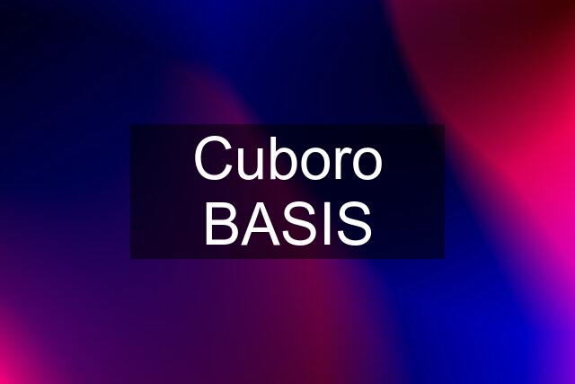 Cuboro BASIS