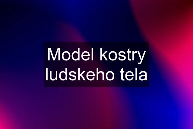 Model kostry ludskeho tela