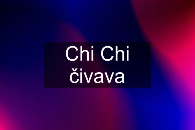 Chi Chi čivava