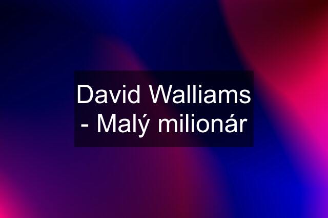 David Walliams - Malý milionár