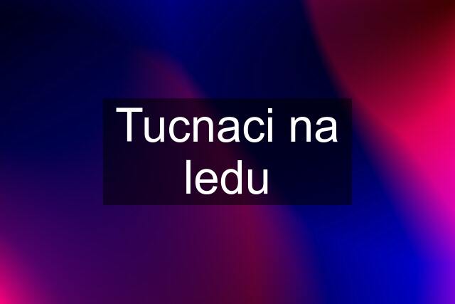 Tucnaci na ledu