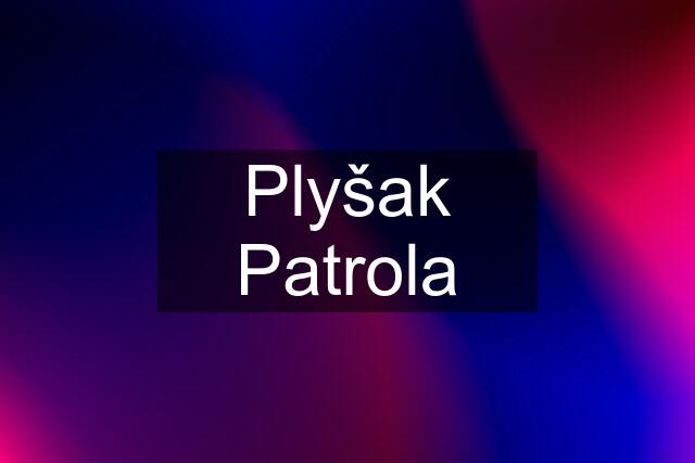 Plyšak Patrola