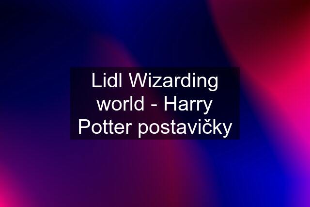 Lidl Wizarding world - Harry Potter postavičky