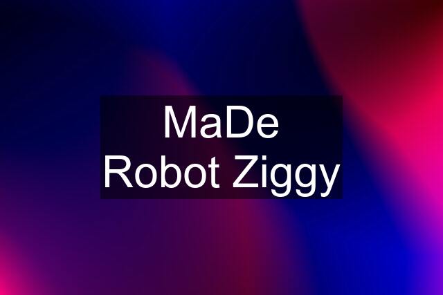 MaDe Robot Ziggy