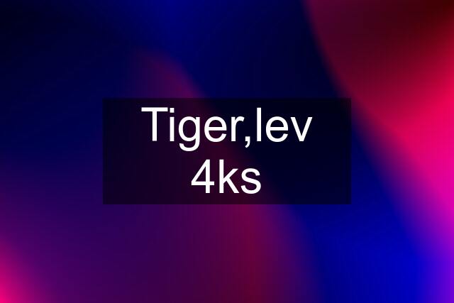 Tiger,lev 4ks