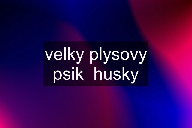 velky plysovy psik  husky