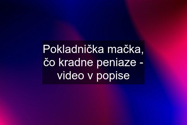 Pokladnička mačka, čo kradne peniaze - video v popise