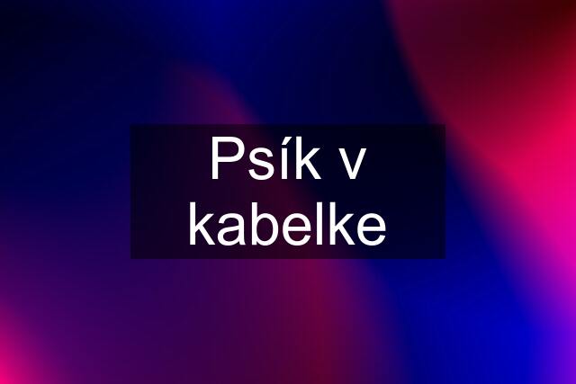 Psík v kabelke