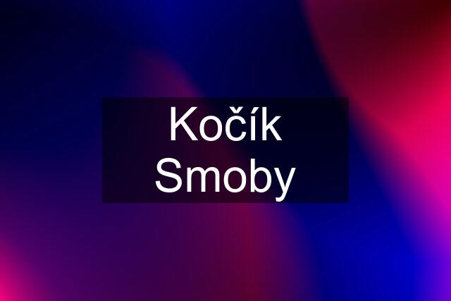 Kočík Smoby