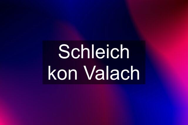 Schleich kon Valach