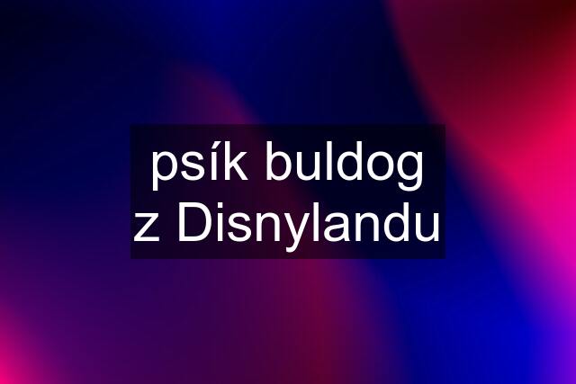 psík buldog z Disnylandu