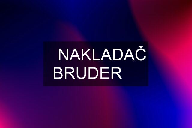 ❗️NAKLADAČ BRUDER ❗️