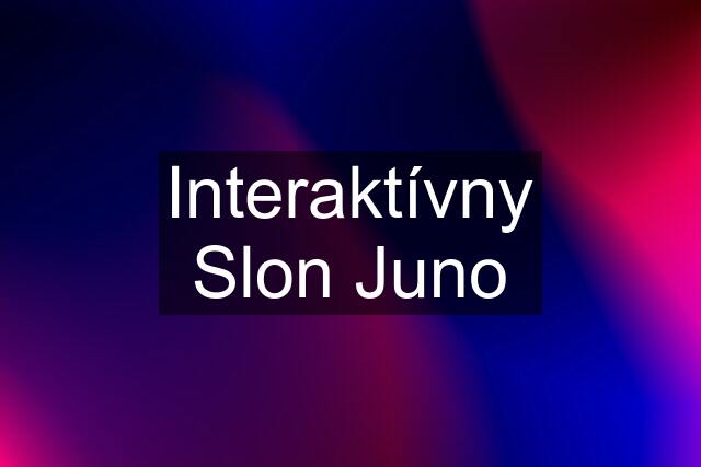 Interaktívny Slon Juno