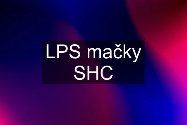 LPS mačky SHC