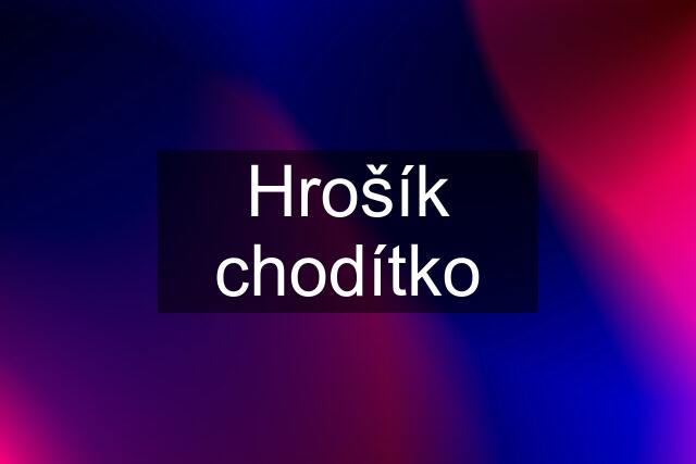 Hrošík chodítko