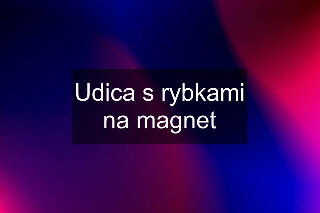 Udica s rybkami na magnet