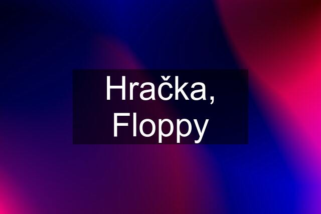 Hračka, Floppy