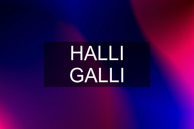 HALLI GALLI