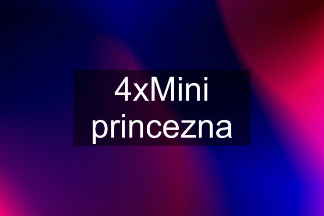 4xMini princezna