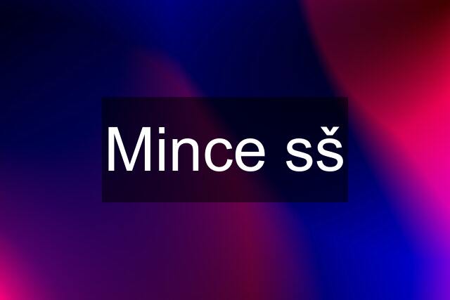 Mince sš