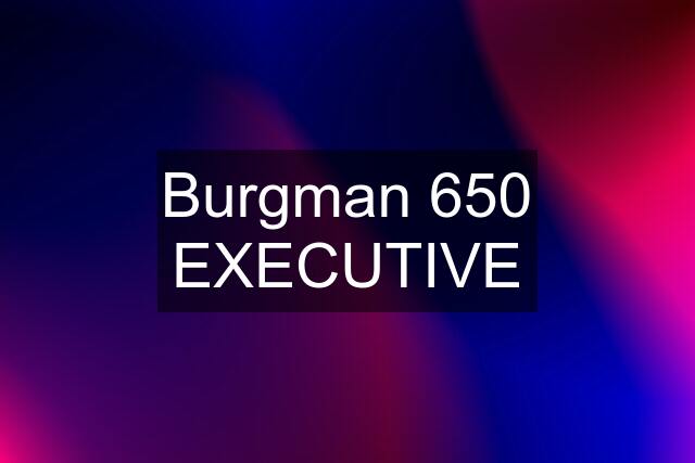 Burgman 650 EXECUTIVE