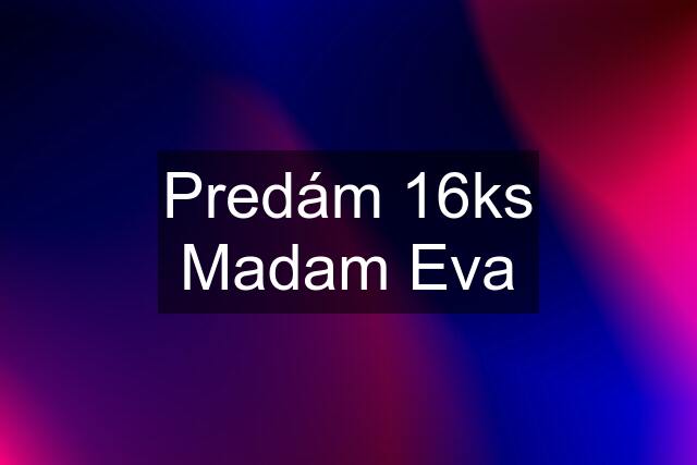 Predám 16ks Madam Eva