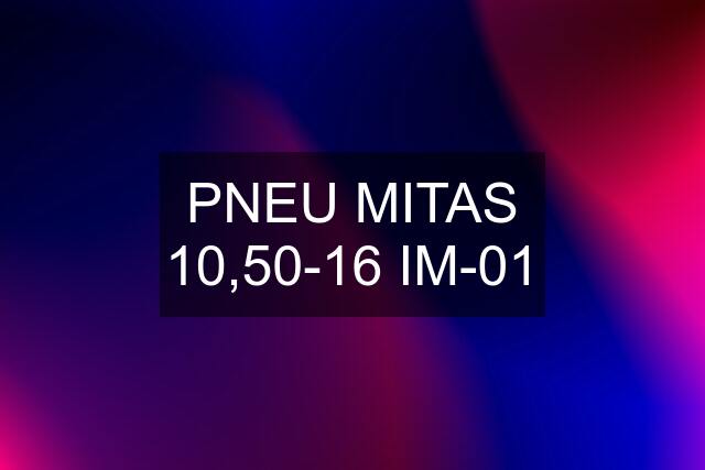 PNEU MITAS 10,50-16 IM-01