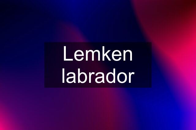 Lemken labrador