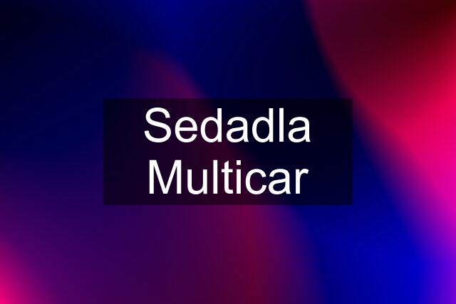 Sedadla Multicar