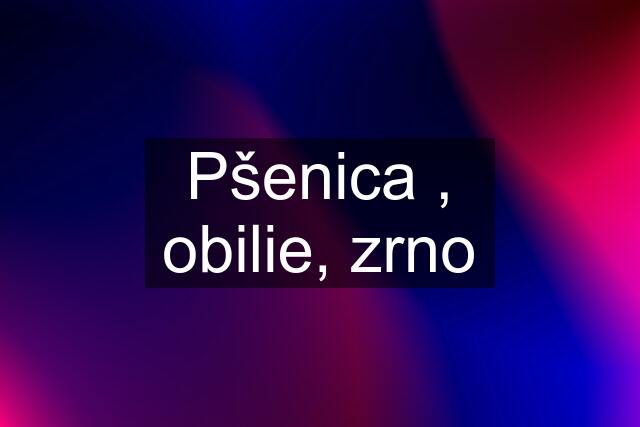 Pšenica , obilie, zrno