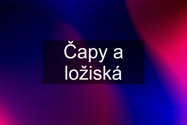 Čapy a ložiská