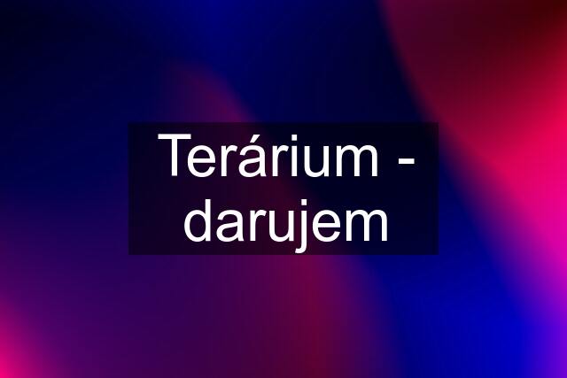 Terárium - darujem