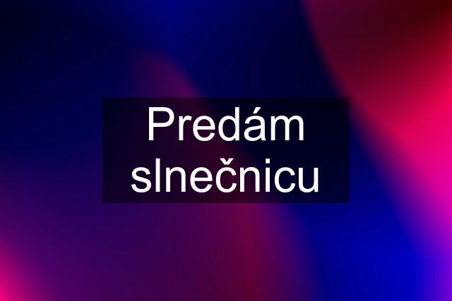 Predám slnečnicu