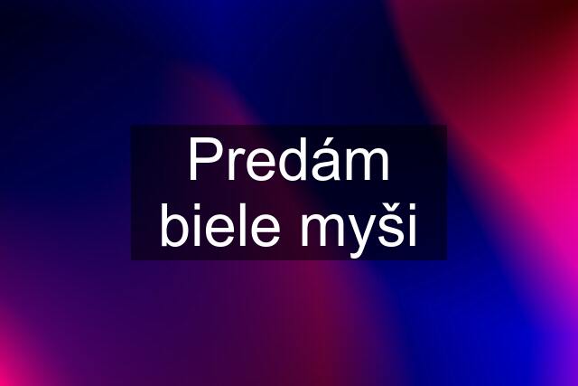 Predám biele myši