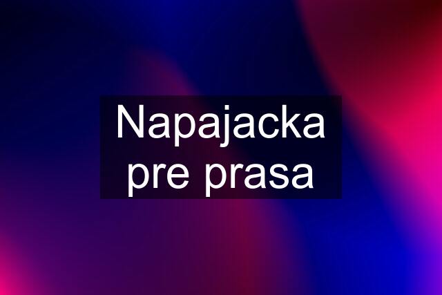 Napajacka pre prasa