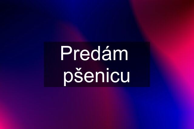 Predám  pšenicu