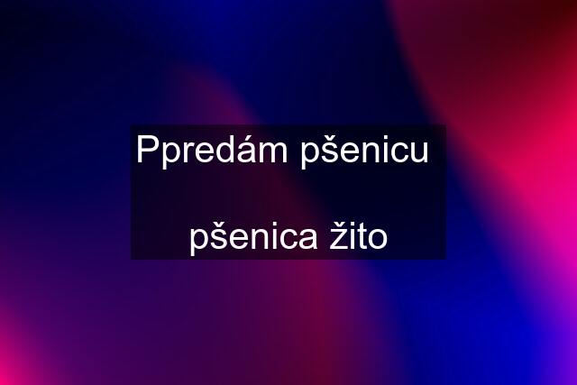 Ppredám pšenicu   pšenica žito