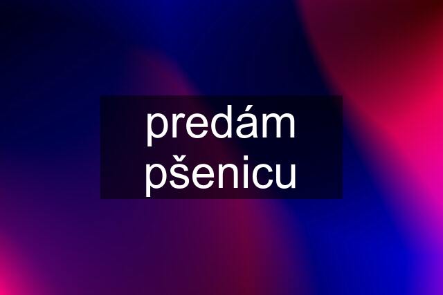 predám pšenicu