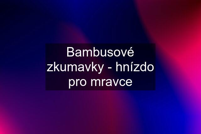 Bambusové zkumavky - hnízdo pro mravce