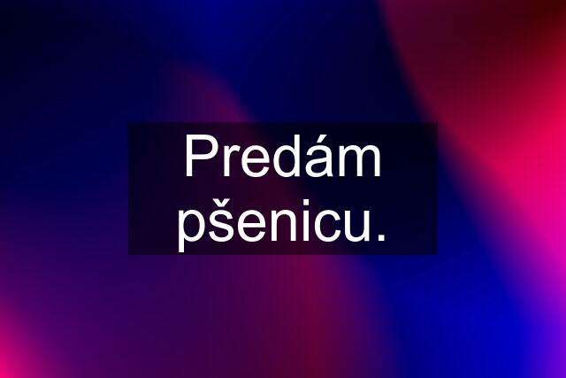 Predám pšenicu.